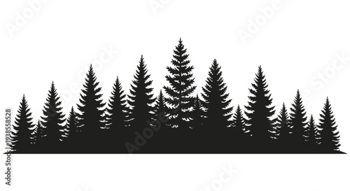 A dense grouping of coniferous trees creates a striking dark outline against a white background silhouette high quality professional