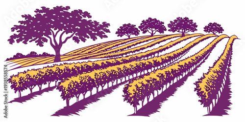 A purple and yellow illustration of a vineyard with trees Vector