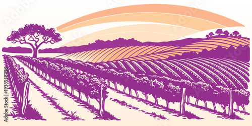 A purple and orange illustration of a vineyard at sunset Vector