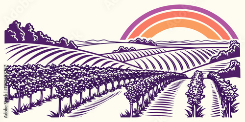 A purple illustration of a vineyard at sunset with a rainbow Vector