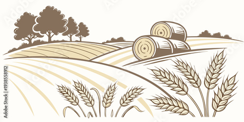 A tractor is harvesting wheat in a field Vector