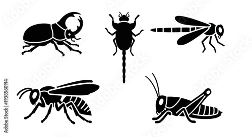 Diverse Insect Silhouettes Collection