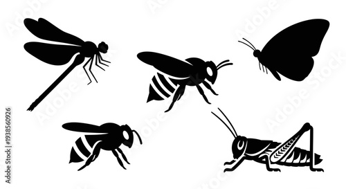 Diverse Insect Silhouettes: Dragonfly, Bee, Butterfly, Grasshopper Collection