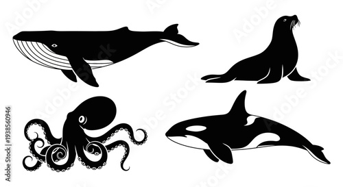 Diverse Marine Animals Silhouettes Set: Whale, Seal, Octopus, and Orca