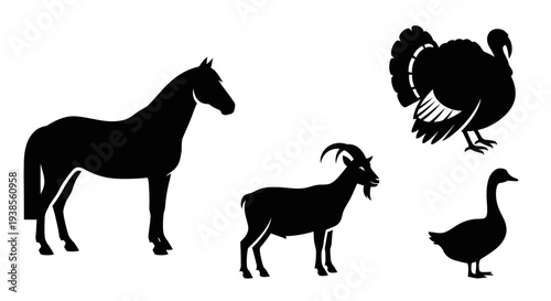 Domestic Farm Animals Silhouettes Set: Horse, Goat, Turkey, and Goose Icons