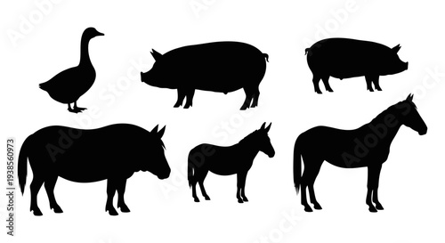 Farm and Wild Animal Silhouettes: Goose, Pig, Boar, Donkey, Horse Vector Set