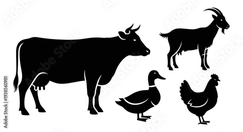 Domestic Farm Animals Silhouettes Vector Illustration Set: Cow, Goat, Duck, Chicken