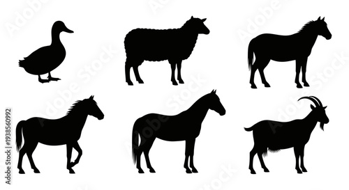 Farm Animal Silhouettes Set: Duck, Sheep, Horses, and Goat Vector Collection