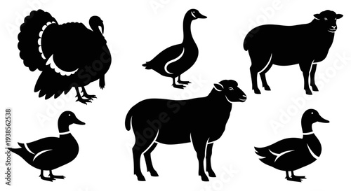 Farm Animals Silhouettes Set: Turkey, Goose, Duck, and Sheep Icons
