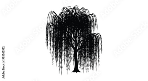 A detailed illustration depicts a weeping willow tree with cascading branches showcasing a striking silhouette high quality professional modern