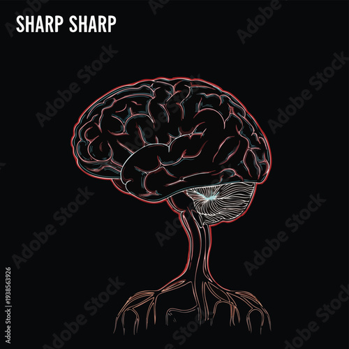 Detailed anatomy of the human brain and nervous system illustrated in a sharp, high-contrast image