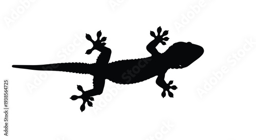 Black silhouette of a lizard with limbs outstretched viewed from the side