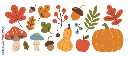 Autumn Harvest Elements Collection: Pumpkins Mushrooms Acorns Leaves Berries