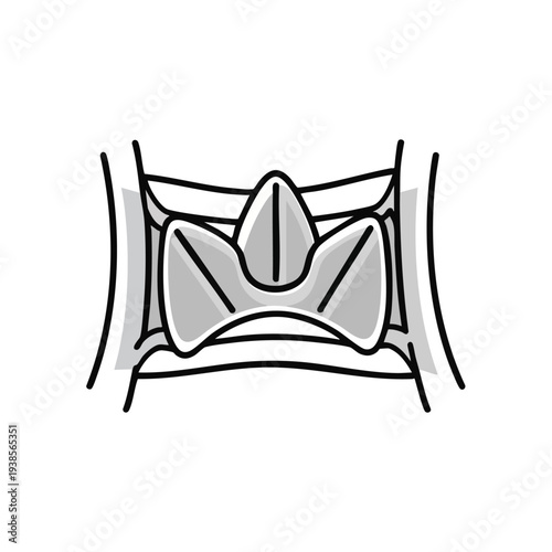 Detailed illustration of human spine anatomy viewed from the front, showcasing vertebrae and disc structure.