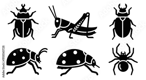 Insect and Bug Silhouettes Set: Beetle, Grasshopper, Ladybug, Spider Icons
