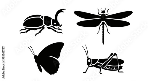 Insect Silhouettes Collection: Beetle, Dragonfly, Butterfly, and Grasshopper Icons