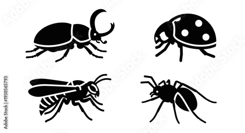 Insect Silhouettes Collection: Beetle, Ladybug, Wasp, and Ant Graphic Icons