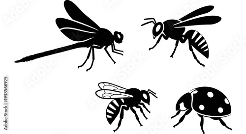 Insect Silhouettes Set: Dragonfly, Bee, and Ladybug Vector Graphics
