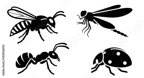 Insect silhouettes set: wasp, dragonfly, ant, and ladybug icons on white background
