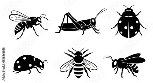 Insect Silhouettes Set with Wasp, Bee, Ladybug, and Grasshopper Icons