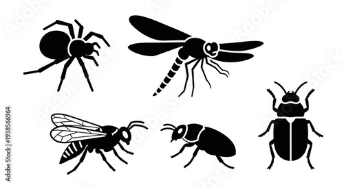 Insect Silhouettes Vector Set: Spider, Dragonfly, Wasp, and Beetles Icons
