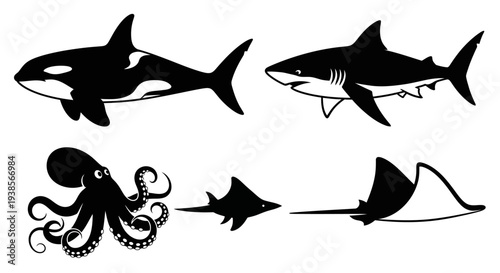 Marine Animals Collection Black and White Silhouettes