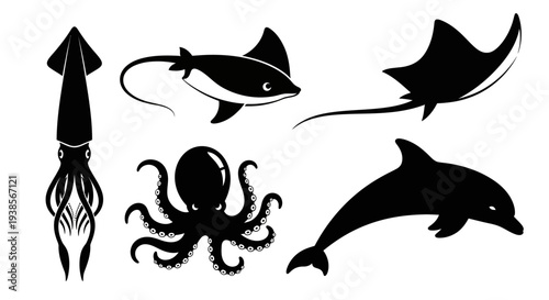 Marine Animals Silhouettes Set: Squid, Octopus, Dolphin, and Rays Vector Collection