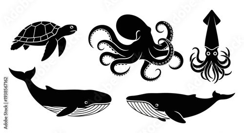 Marine Animals Silhouettes Set: Whale, Octopus, Turtle, Squid Icons