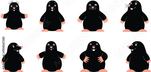 Cartoon mole illustrations, black and pink, facial variation, whiskers, teeth, posture differences, stylized animal design, vector art, character set