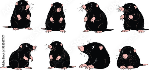Cartoon mole illustrations, black and pink, expressive posture, varied stance, facial variation, stylized animal design, vector art, character set
