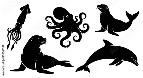 Marine Animals Silhouettes: Squid, Octopus, Seals, and Dolphin Collection