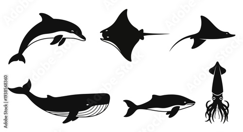 Ocean Animals Silhouettes Collection: Dolphin, Whales, Manta Rays, Squid Icons