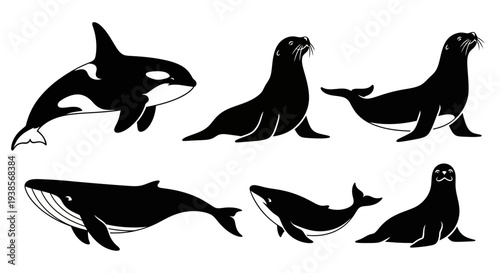 Ocean Mammals Black Silhouettes Set: Whales, Orca, and Seals Icons