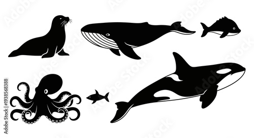 Marine life silhouettes set: whale, orca, seal, octopus, and fish vector illustration