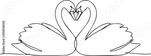 Intertwined swans forming a heart