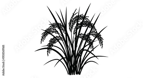 A detailed illustration depicts a cluster of rice plants with flowing stalks and grains rendered as a silhouette
