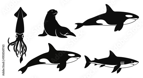 Sea Animals Black Silhouettes: Orca, Shark, Seal, and Squid Collection