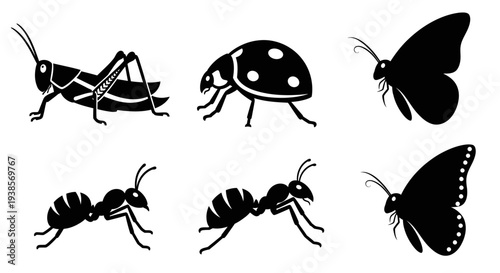 Set of black insect silhouettes: grasshopper, ladybug, butterflies, and ants icons