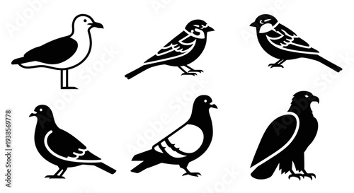Set of various bird silhouettes, black and white icons for graphic design