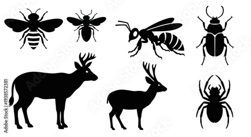 Animal and insect silhouettes collection: deer, bee, wasp, beetle, spider icons