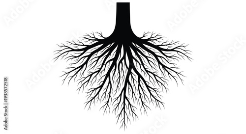 A detailed illustration depicts the intricate network of tree roots suspended against a white backdrop silhouette high quality professional