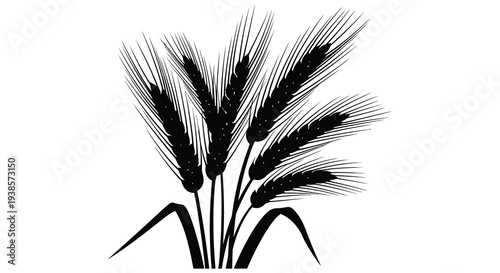 A striking black and white illustration depicts several stalks of wheat their forms elegantly captured as a silhouette