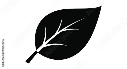 A strikingly simple graphic depicts a single leaf with detailed veins and a stem rendered as a silhouette