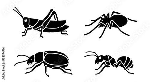 Black Silhouettes of Various Insects and Bugs on White Background