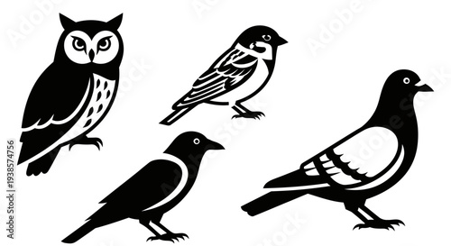 Collection of Black Bird Silhouettes: Owl, Sparrow, Crow, and Pigeon Icons