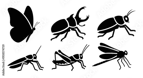 Collection of Black Insect Silhouettes: Butterfly, Beetle, Grasshopper, Dragonfly