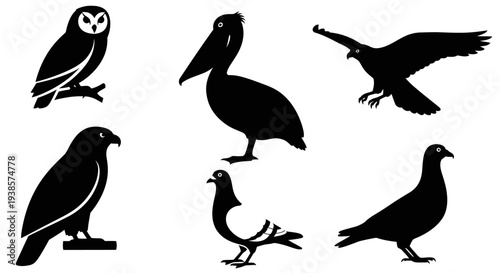 Collection of Diverse Bird Silhouettes: Owl, Pelican, Eagle, and Pigeons