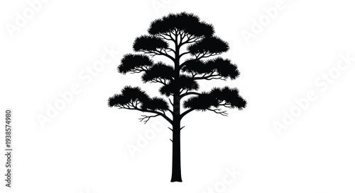 A striking black silhouette of a mature pine tree with dense foliage showcasing natural form silhouette high quality professional