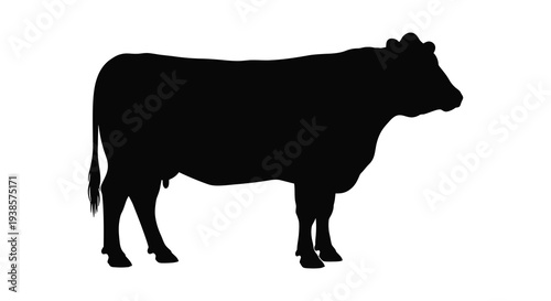A striking black silhouette depicts a standing cow in profile showcasing its form and features silhouette high quality professional