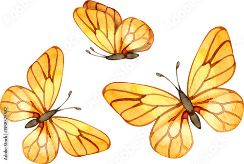Billede på lærred Hand-painted watercolor illustration of three golden yellow butterflies